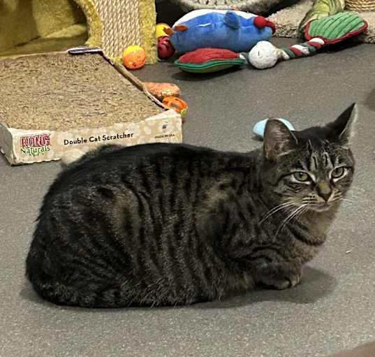 Photo of Biggie