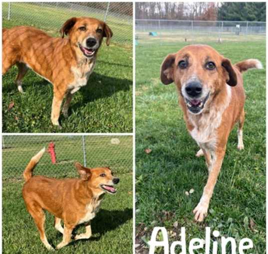 Photo of Adeline
