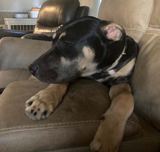 Photo of Tango