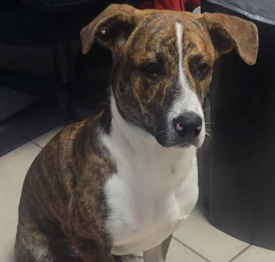 Photo of Jasper