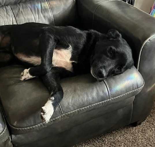 Photo of Kiwi