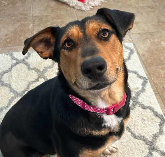 Photo of Lexie