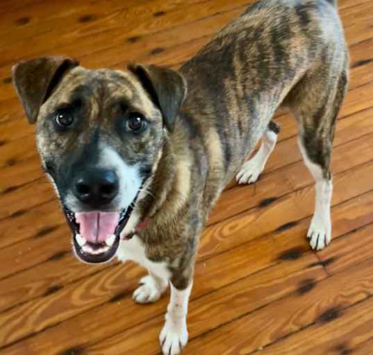 Photo of Magic (In Foster)
