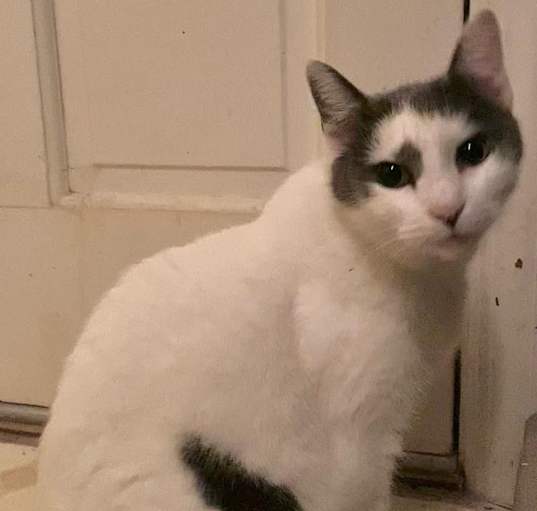 Photo of Ivy