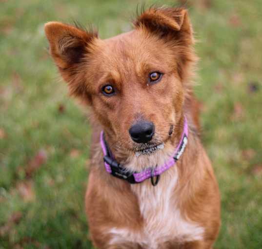 Photo of Tally