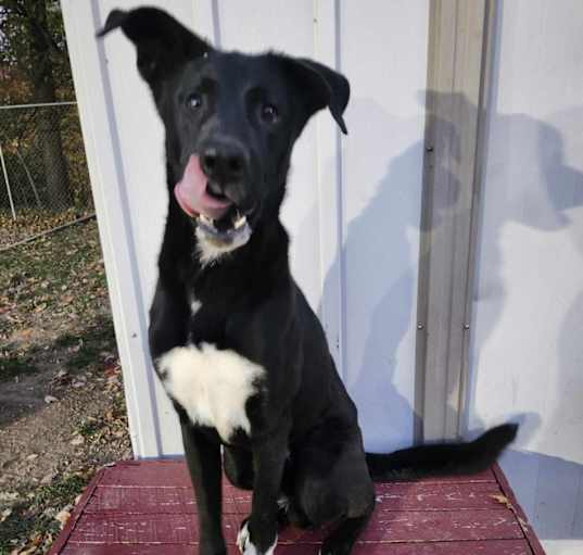 Photo of Slim Jim