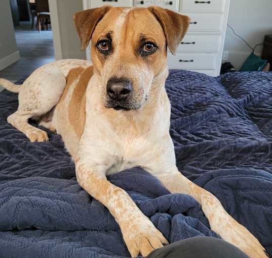 Photo of Lucy