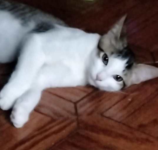 Photo of Zeke