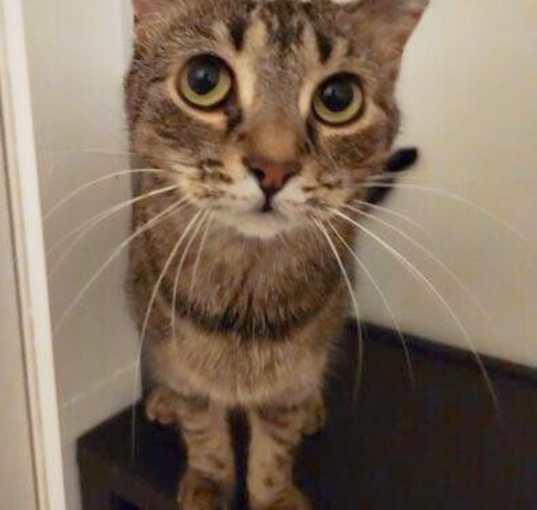 Photo of Elsa