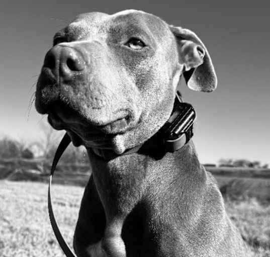 Photo of MISS NOVA