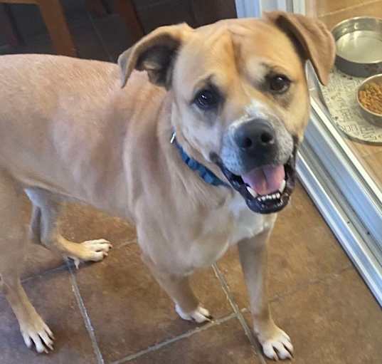 Photo of Caesar