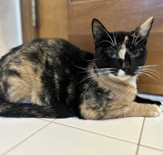 Photo of Wendy