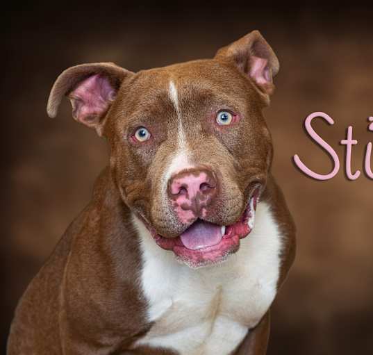 Photo of Stio