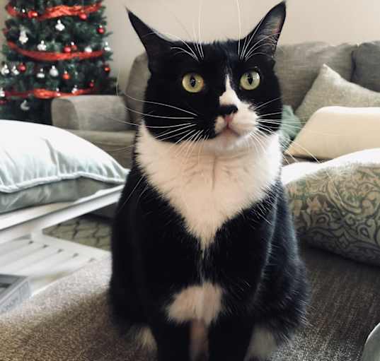 Photo of Chanel