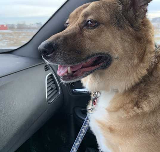 Photo of Luna