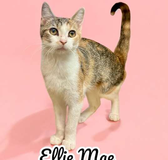 Photo of Ellie Mae