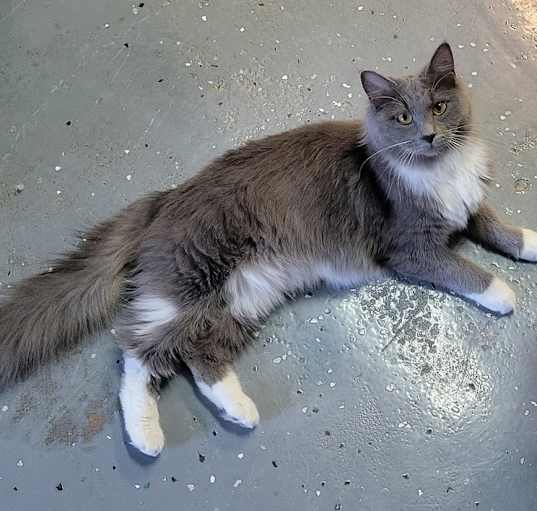 Photo of Miss Bisque