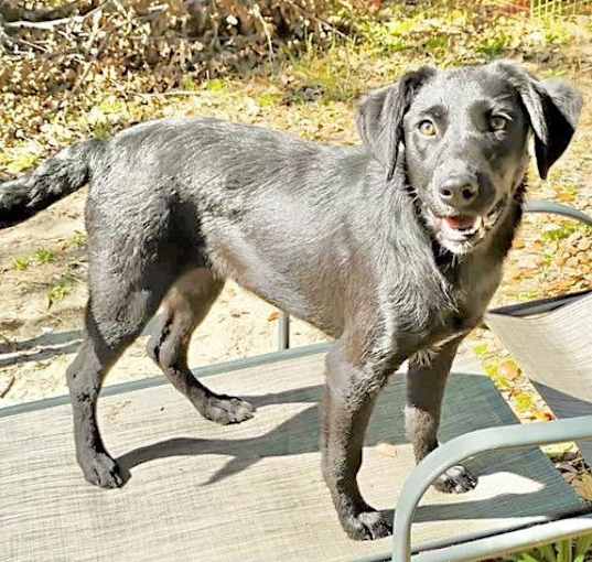 Photo of Bonnie Lou
