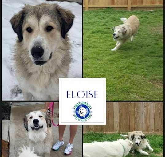 Photo of Eloise