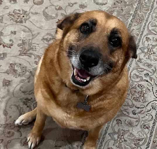 Photo of Remi