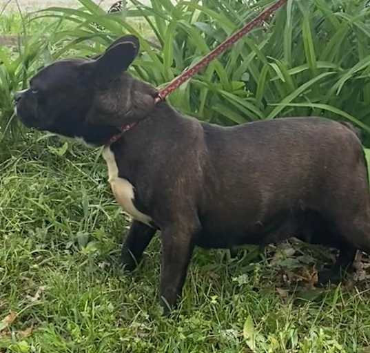 Photo of Bonnie