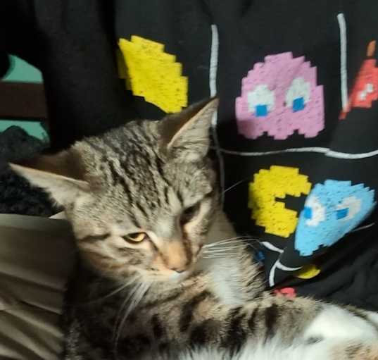 Photo of Jack
