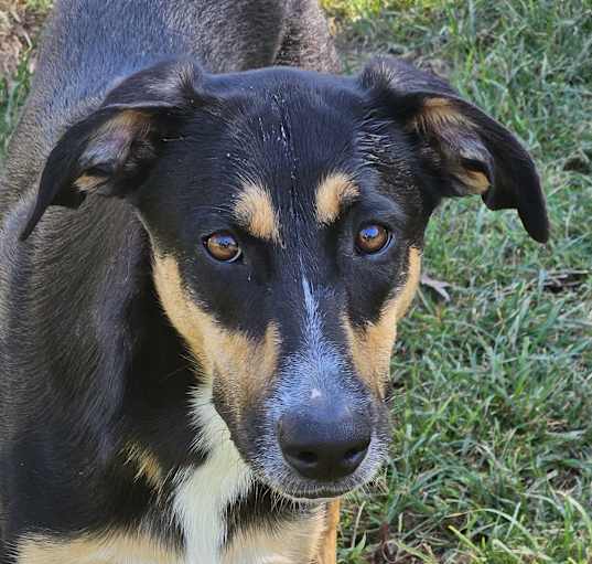Photo of Skeeter