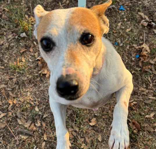 Photo of Thelma