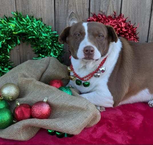 Photo of Codette