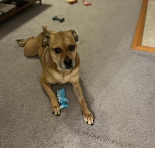 Photo of BAYLEE
