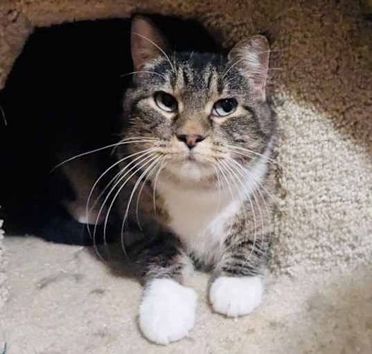 Photo of Little