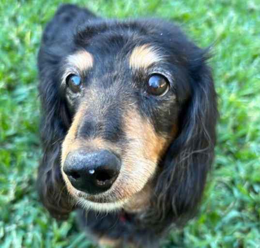 Photo of Hannah