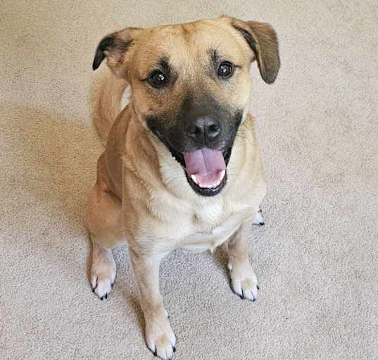 Photo of Max