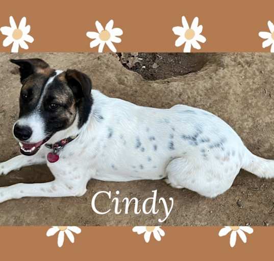 Photo of Cindy