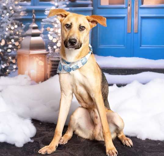 Photo of DUKE