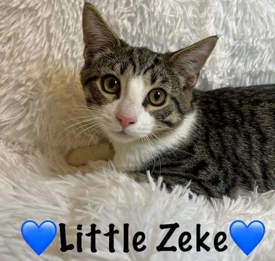 Photo of Zeke