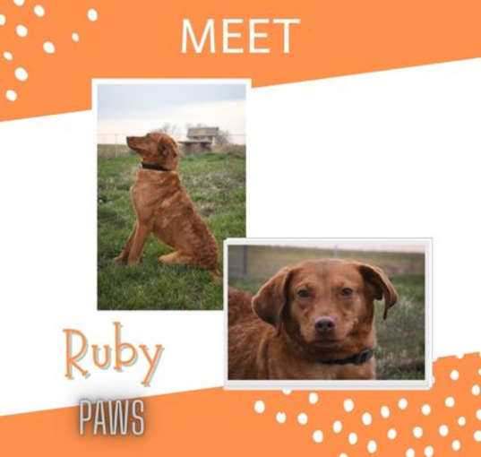 Photo of Ruby