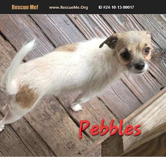 Photo of Pebbles