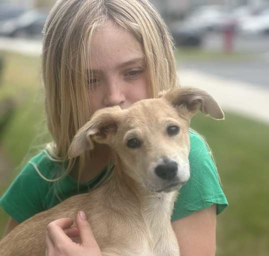 Photo of Dobby