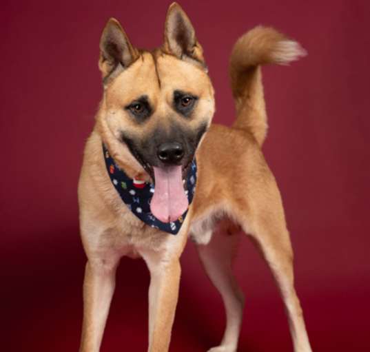 Photo of CORTEZ