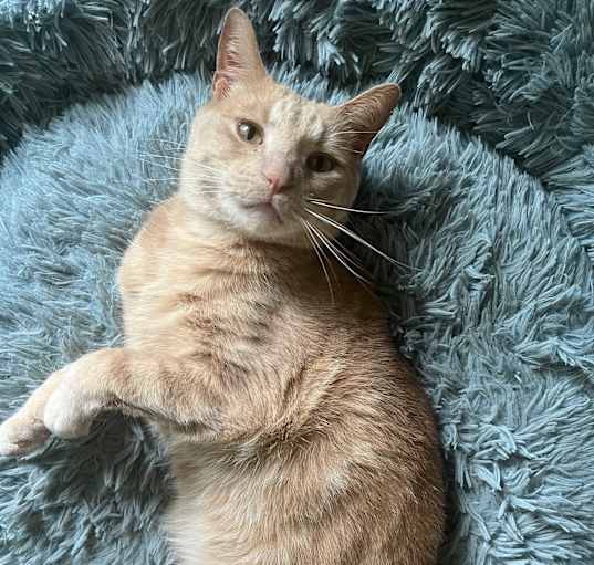 Photo of Wally