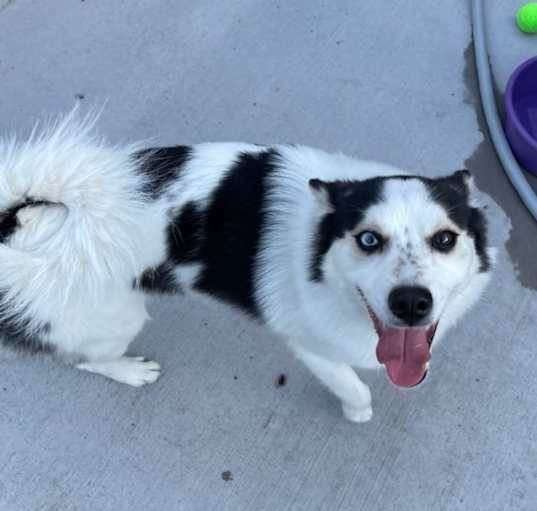 Photo of Jax