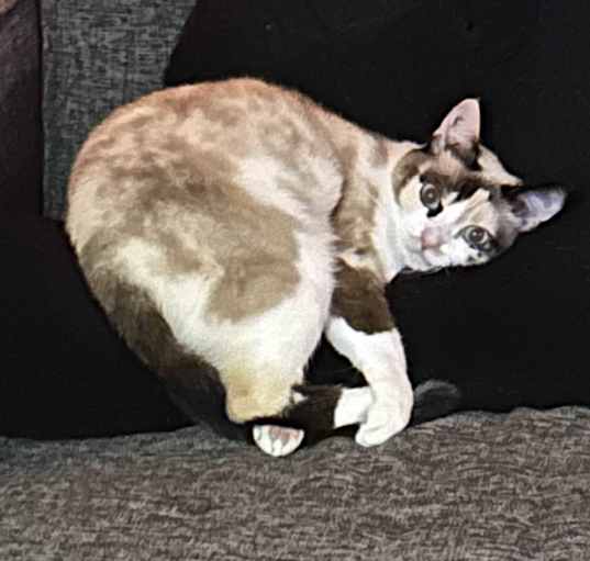 Photo of Seolgi