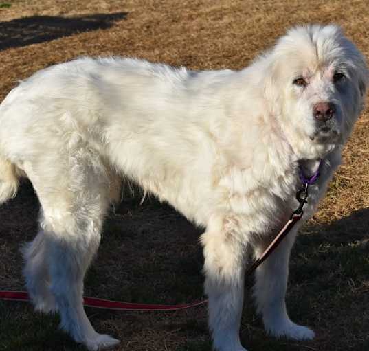 Photo of Hattie
