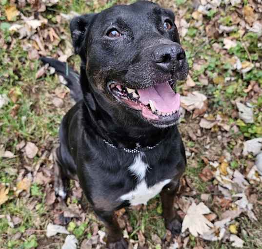 Photo of Lucy