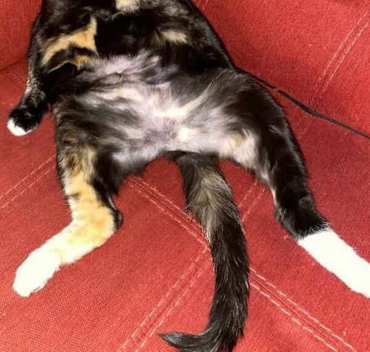 Photo of QUINN