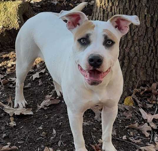 Photo of Amy