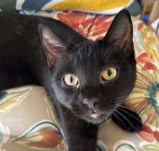 Photo of Tina