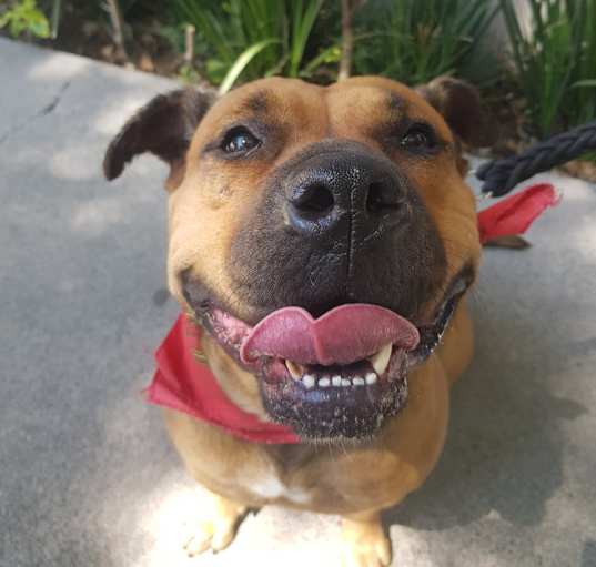 Photo of LUCKY