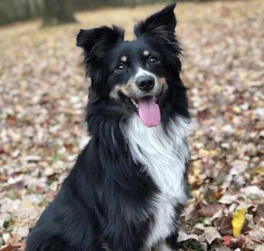 Photo of Finn